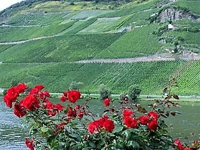 Anneliese Schmitgen Bernkastel-Kues